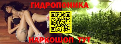 spice Бузулук