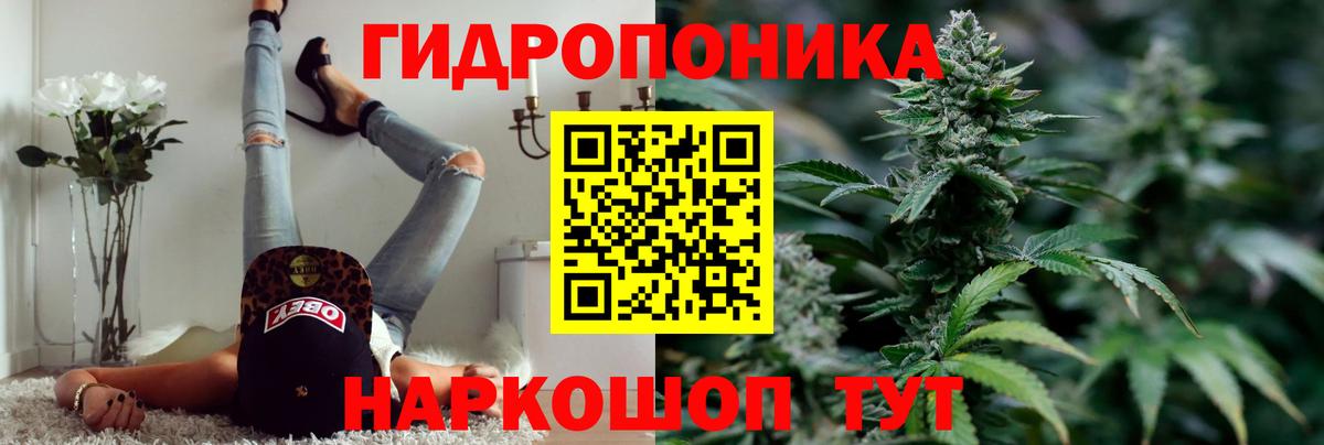 Конопля гибрид Старый Оскол